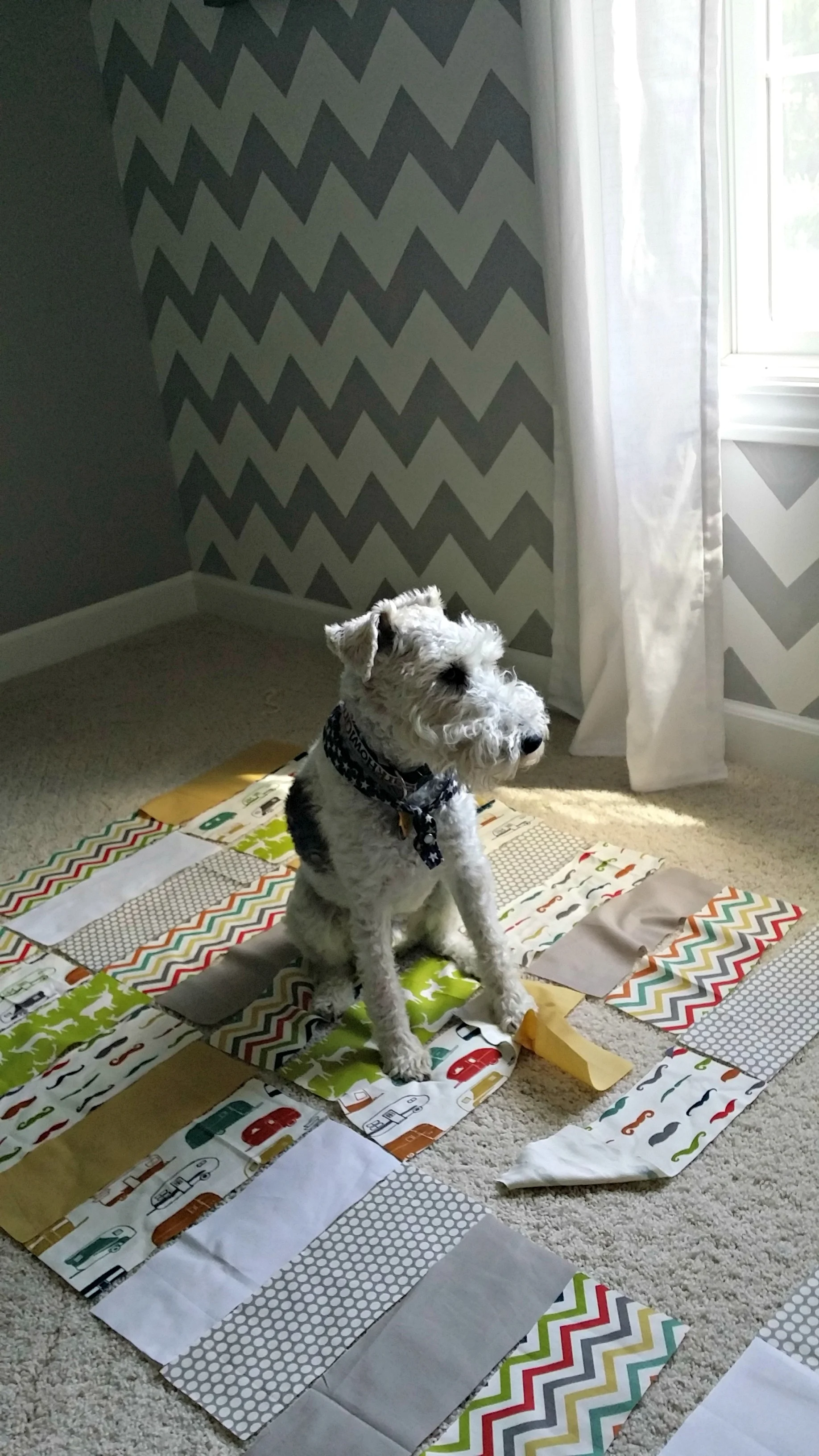 Hipster Baby Quilt Gender Neutral Quilt Decor and the Dog